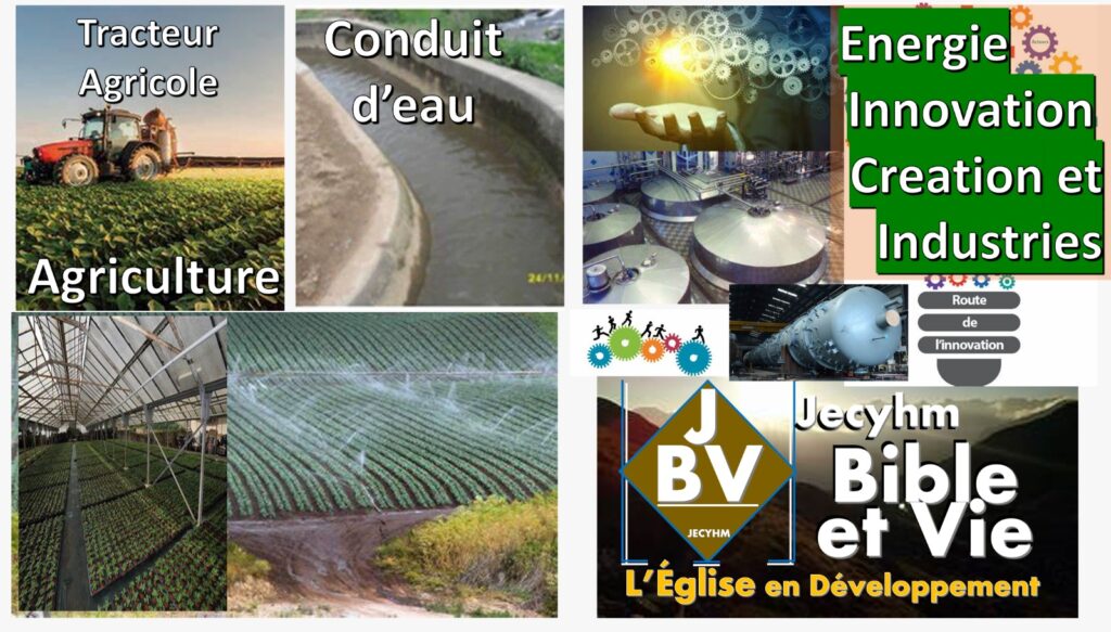 Directeurs de Terrain